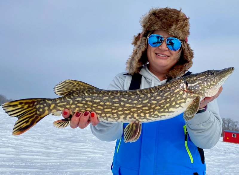 Fesselnder Eizugang bei Ice Fishing Live Casino im Online-Spiel in Germany