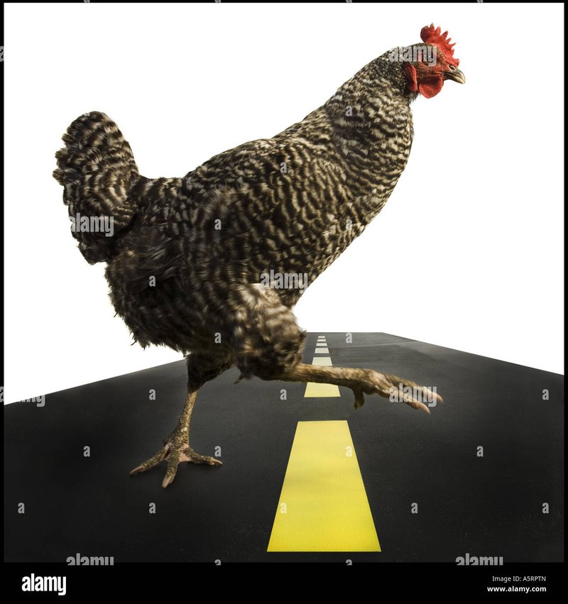 Welkom bij Chicken Road Casino: Spelen in Nederland is Gemakkelijk Welkom bij Chicken Road Casino: Spelen in Nederland is Gemakkelijk